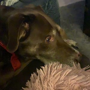 Meet your Posher, Bethany